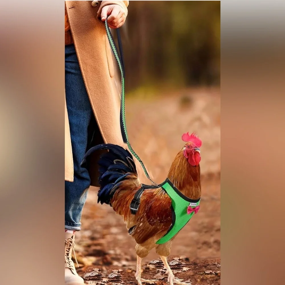 🎉 HP 🎉 Yesito Chicken Hen Duck Goose Rabbit Bunny Harness Green Mesh Pink Bow L